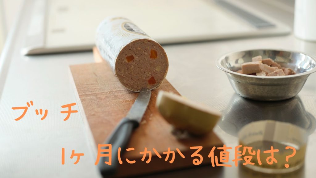 ブッチ1ヶ月にかかる値段